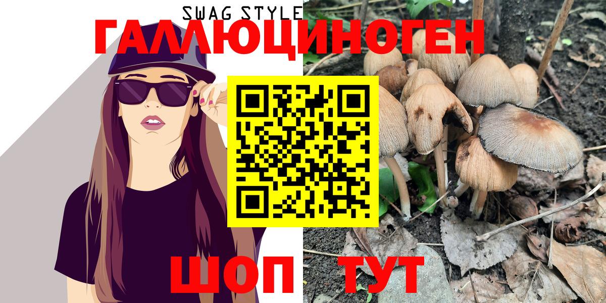 купить наркотик  Вход с VPN  Щёлково  Псилоцибиновые грибы MAGIC MUSHROOMS 